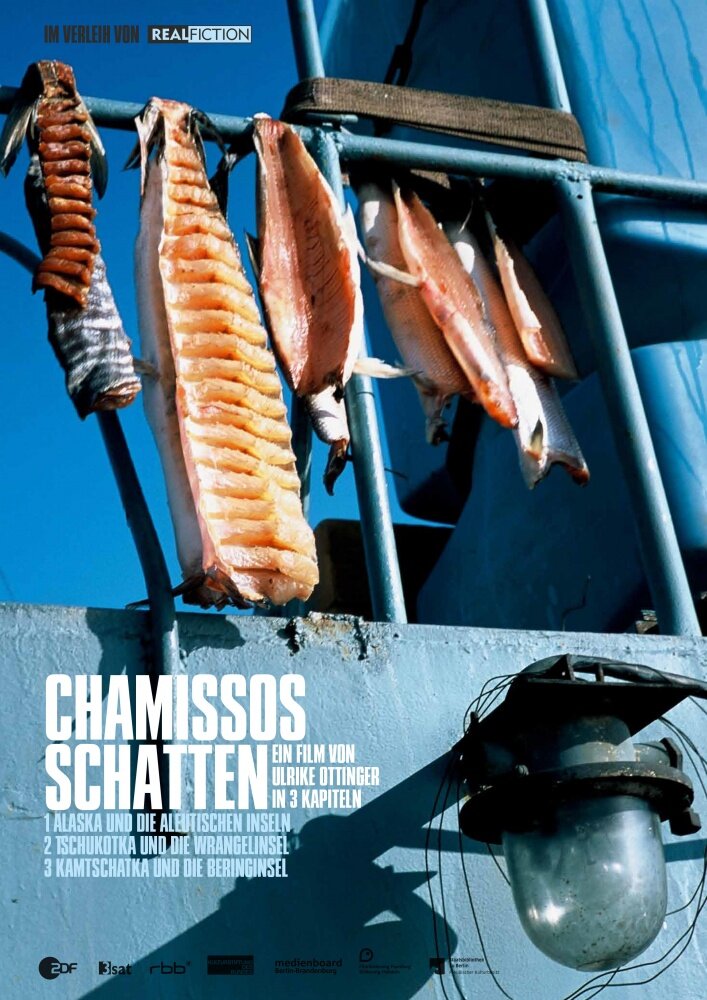 Chamissos Schatten (2016)