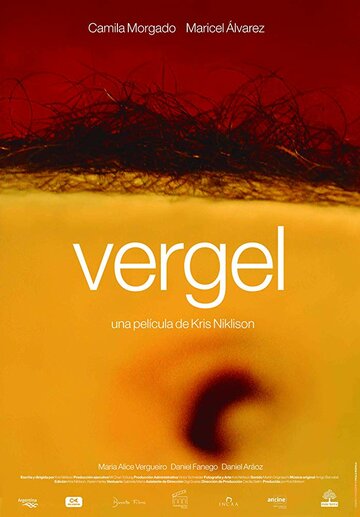 Vergel (2017)